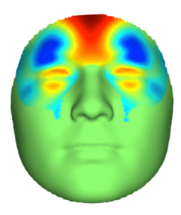 The fifteen genome regions strongly linked to face shape. 
