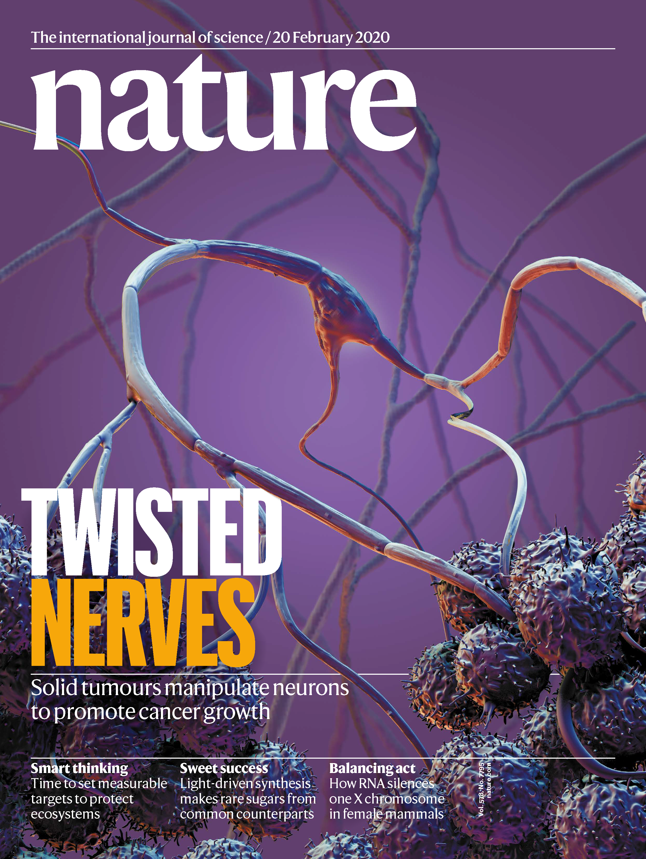 February 2020 cover of Nature Magazine showing nerves and cancerous tumors