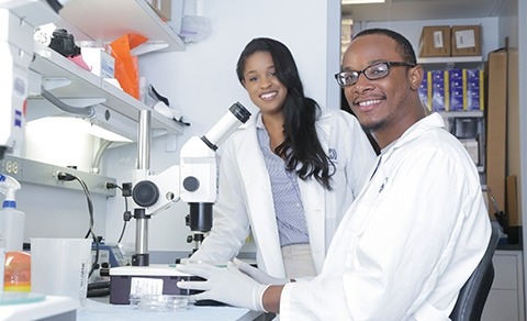 Two researchers are working in a lab.