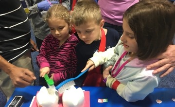 Children use large toothbrushes to clean large plastic teeth