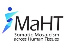 SMaHT Somatic Mosaicism across Human Tissues