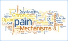 Pain Word CLuster
