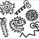 DibujoIllustration: Bacteria de bacterias