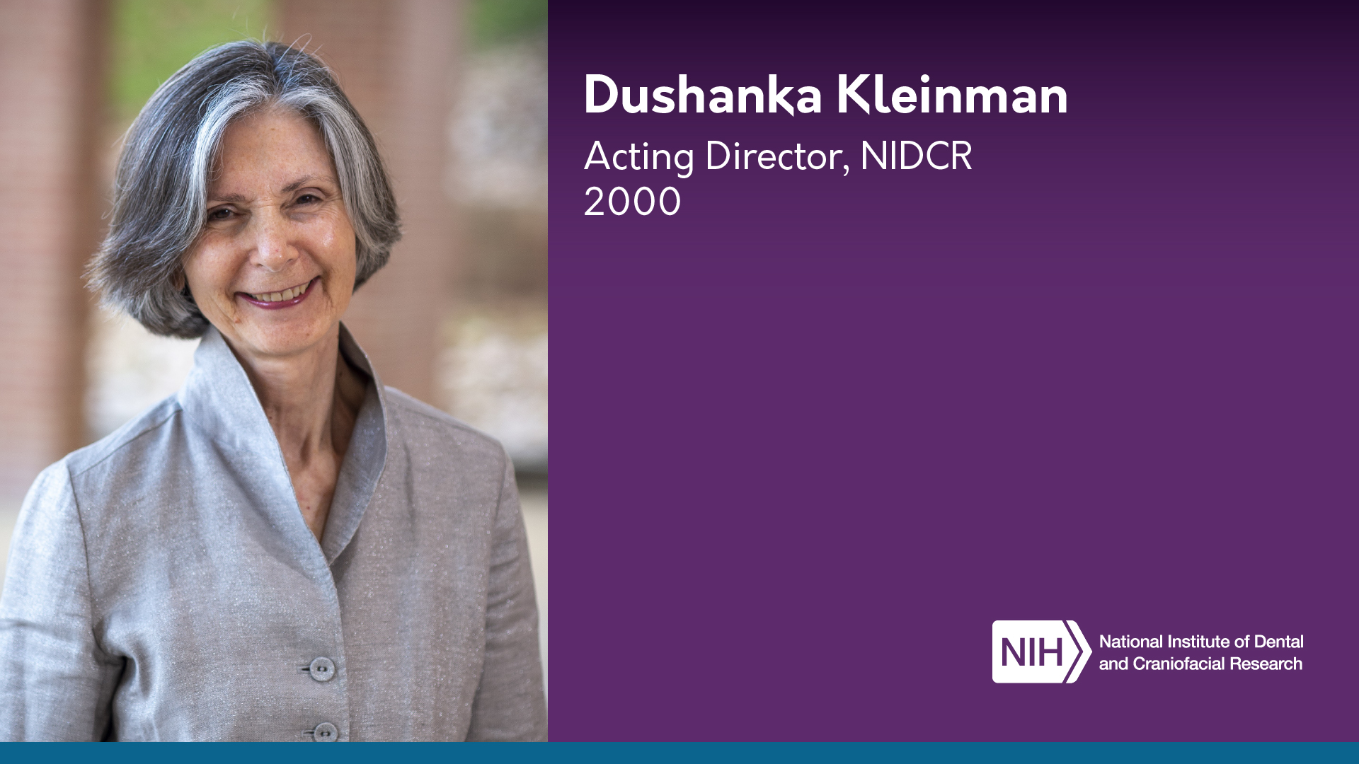 Dushanka Kleinman