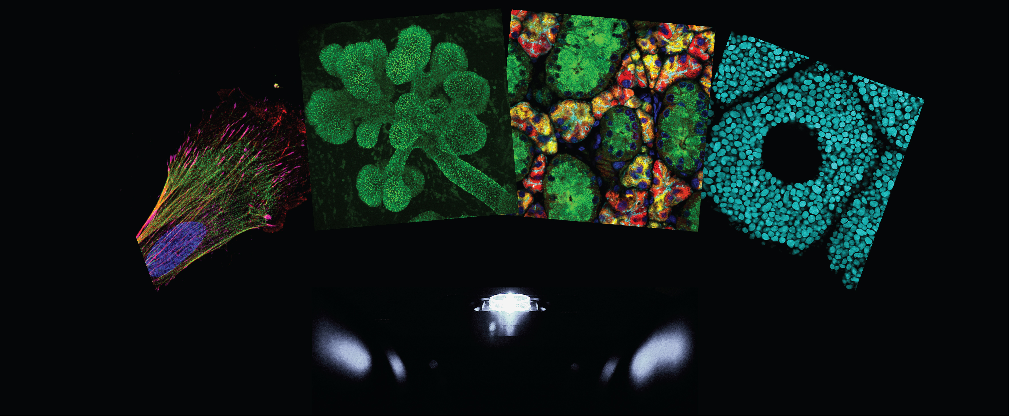 Imaging core microscopy images