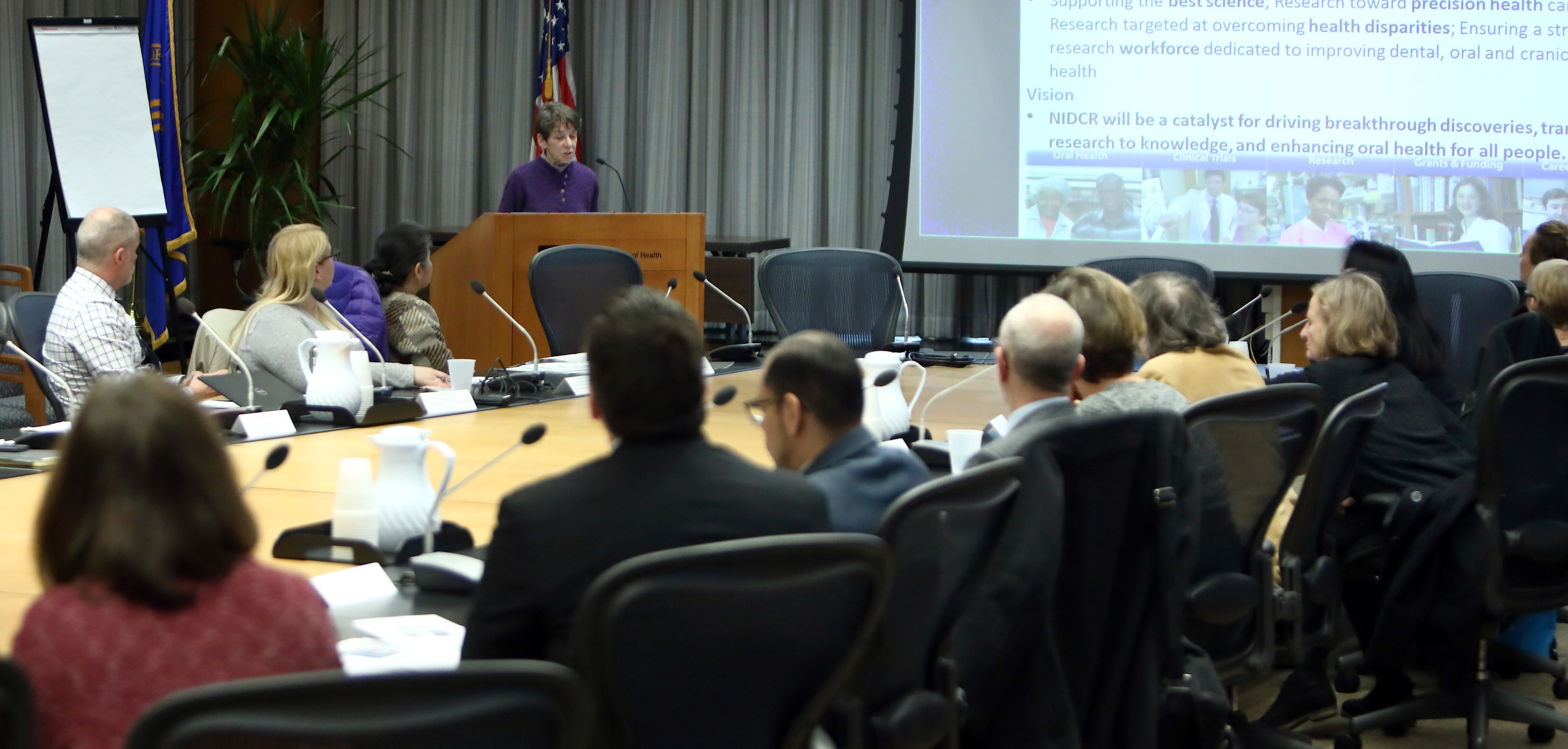 NIDCR Director Dr. Martha Somerman giving a presentation