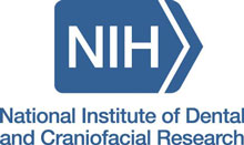 National Institute of Dental and Craniofacial Research logo