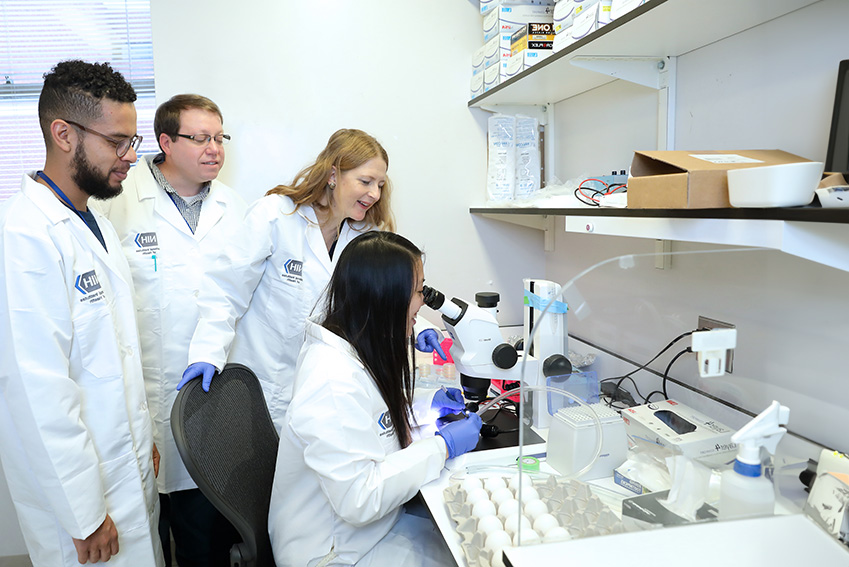People working together in a lab while one person is looking in a microscope.