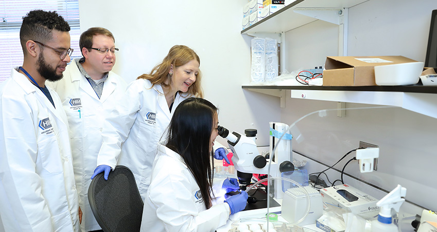 People working together in a lab while one person is looking in a microscope.