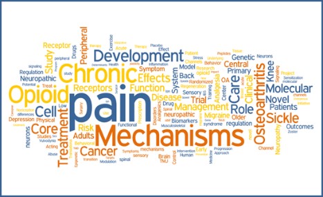 Pain word cloud