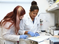 Researchers in a lab discussing their notes.