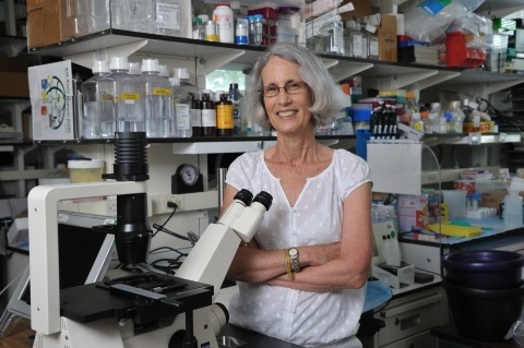 Hynda Kleinman in a laboratory. 
