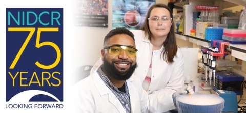 Two scientists are looking at the camera. The NIDCR 75th Anniversary logo is to the left of them.