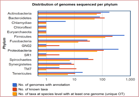 A bar chart on Distribution of genomes sequenced per phylum.
