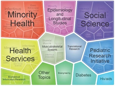 Diagram showing topic broken down by categories. The larger ones being Minority Health, Social Science, Health Services and Pediatric Research Initiative.
