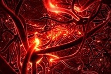 Pain-blunting receptors on cells.