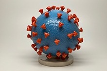 Model of COVID-19