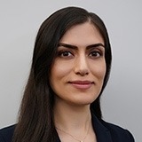 Fatemeh M. Pour, D.D.S, M.P.H.