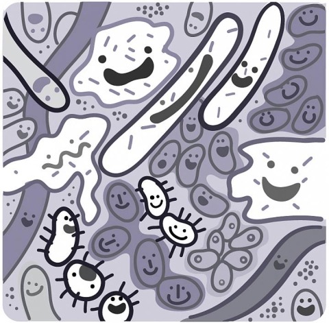 Illustration of a community of microbes