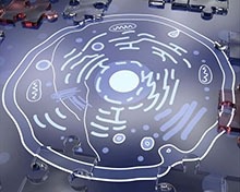 NIH Program To Map Rare, Non-Dividing Cells 
