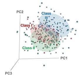 3D PCA plot of human craniofacial shape data from the three skeletal malocclusion groups