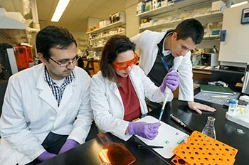 Luiz Bertassoni (far right) and his team developed a miniature tooth system to peer into the interactions among dental materials, the microbiome, and tooth tissue.