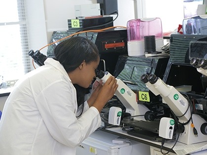 A person is using a microscope in a lab setting.