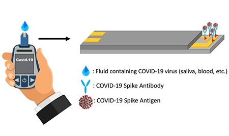 Antibodies are affixed to disposable strips that are inserted into the hand-held sensor.