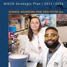 Strategic Plan 2021-2026