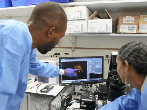 Two scientists in lab coats analyzing data on a computer screen.