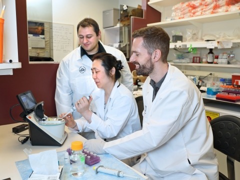 Photo of Achim Werner and two colleagues in lab