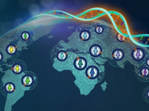 DNA strands overlaying a world map, symbolizing worldwide genetic connections.