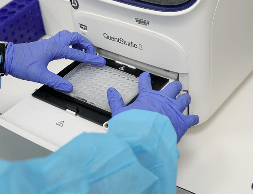 A researcher's hands holding a PCR (polymerase chain reaction) test tray