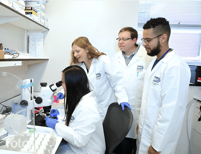 A group of researchers are standing together while one of them is looking into a microscope.