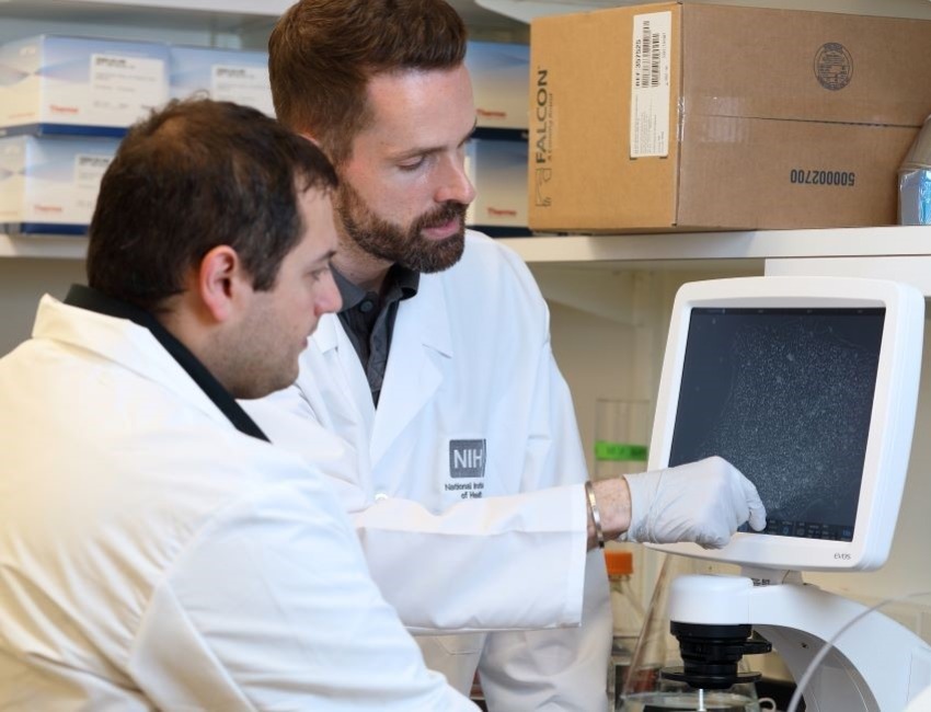 Two scientists are looking at a screen while working in a lab.