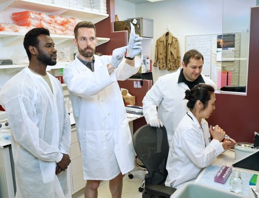 A group of scientists are working together in a lab.