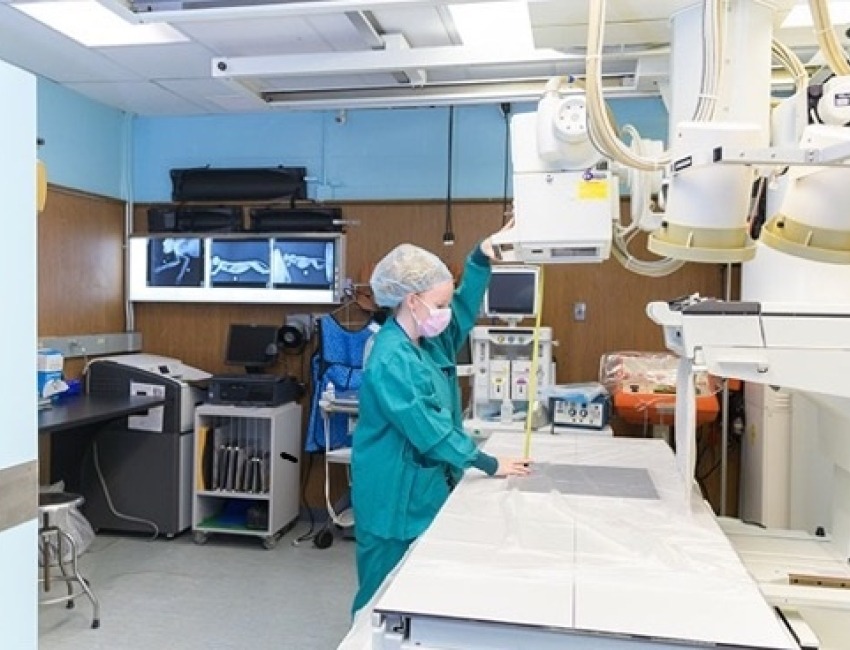 A female veterinarian working in a lab