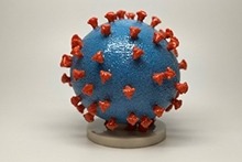 COVID-19 Cell Model