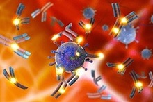 Friendly Virus Could Deliver Gene Therapy Under Immune System’s Radar