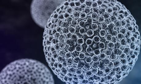 HPV