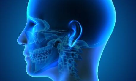 orofacial-tissue-consortium.jpg