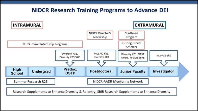 NIDCR Research Training Programs to Advance DEI