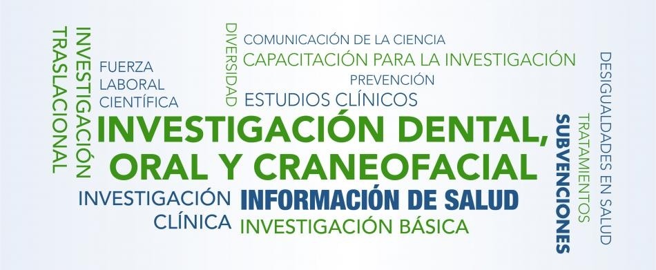 Nube de palabras relacionada con el NIDCR