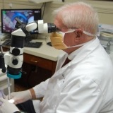 PBRN researcher working in clinic
