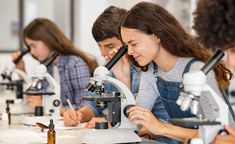 Young scholars studying samples using microscopes in a laboratory.